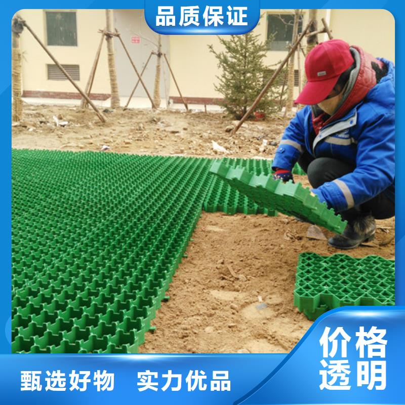 停车场植草格-植草格厂家一站式采购