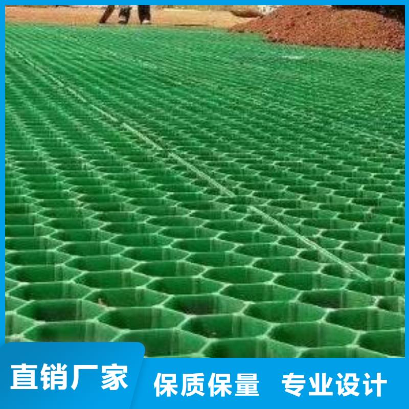 塑料植草格厂家-批发零售价适用范围广