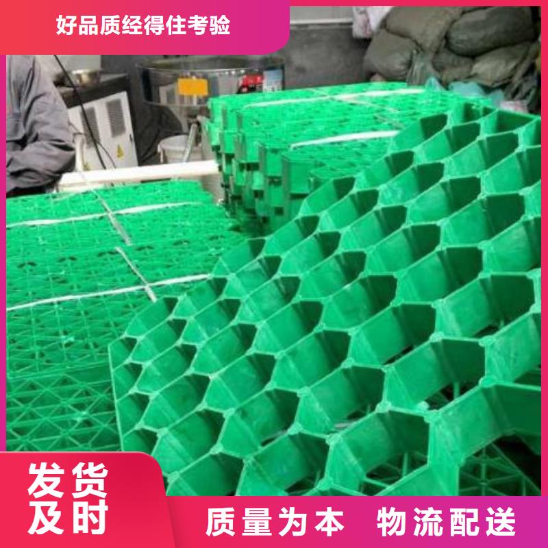 植草格厂家-批发零售价定制定做