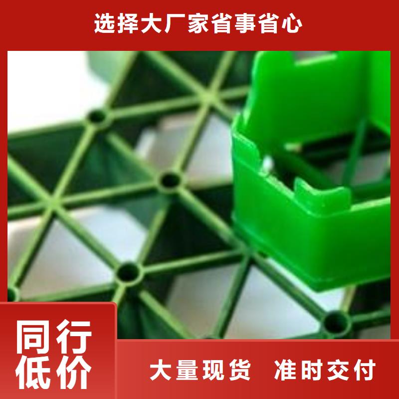 停车场植草格厂家-批发价本地供应商