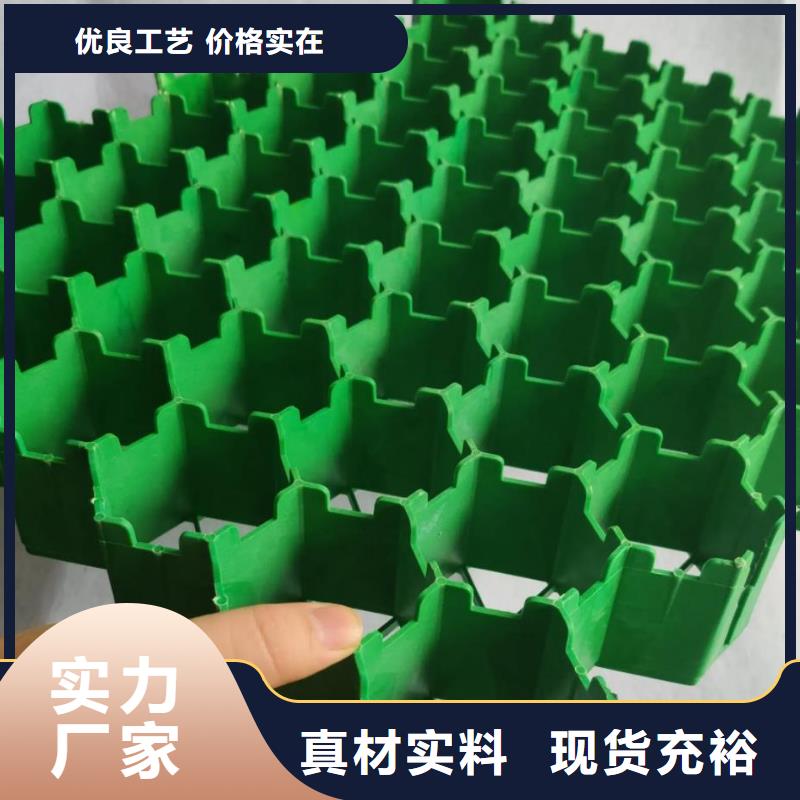 植草格生产厂家*价格产品细节参数