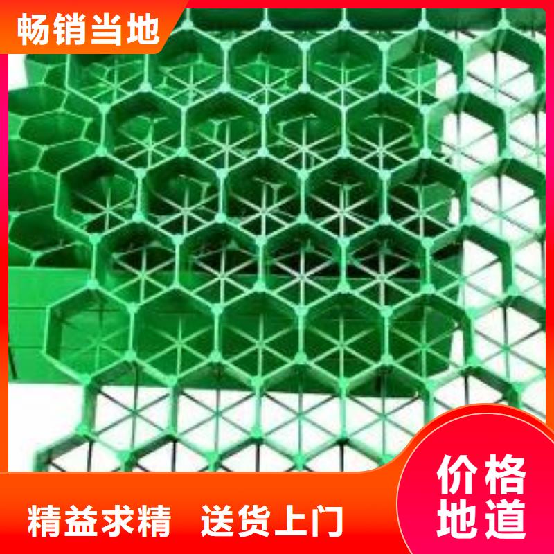 塑料植草格厂家#朋联工程同城经销商