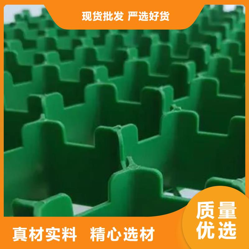 植草格-停车场植草格厂家店本地货源