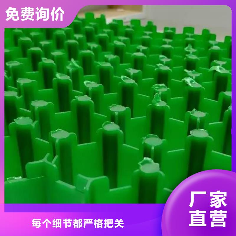 植草格哪里能买到同城厂家