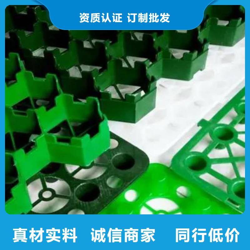 塑料植草格实体厂家现货齐全售后无忧