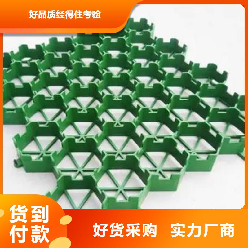 塑料植草格价格/欢迎咨询好品质售后无忧