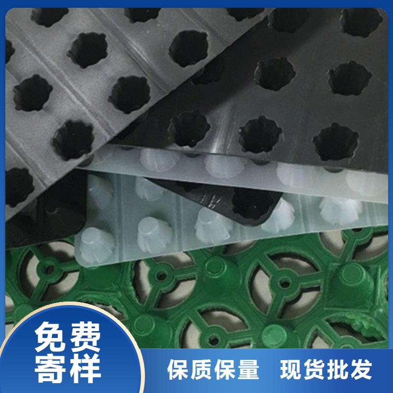 排水板工厂直销当地厂家