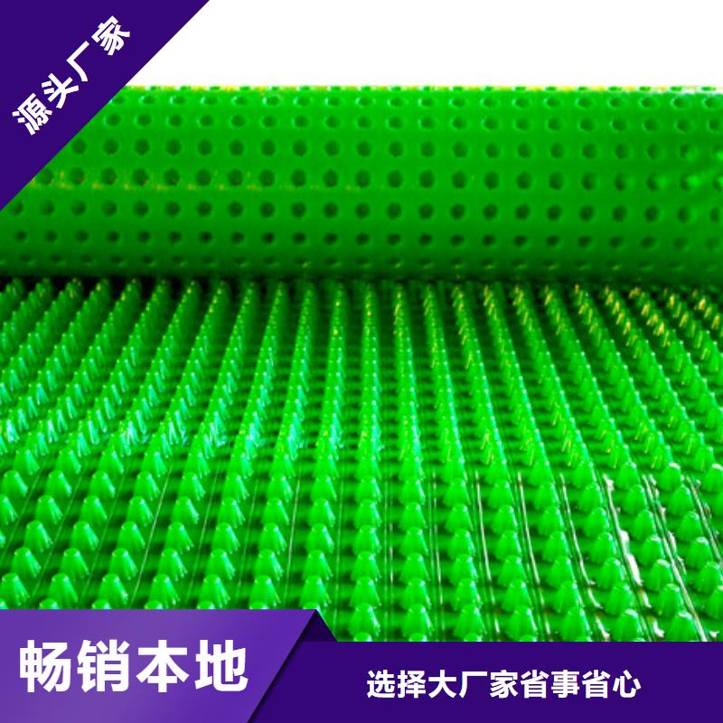排水板工厂直销当地经销商