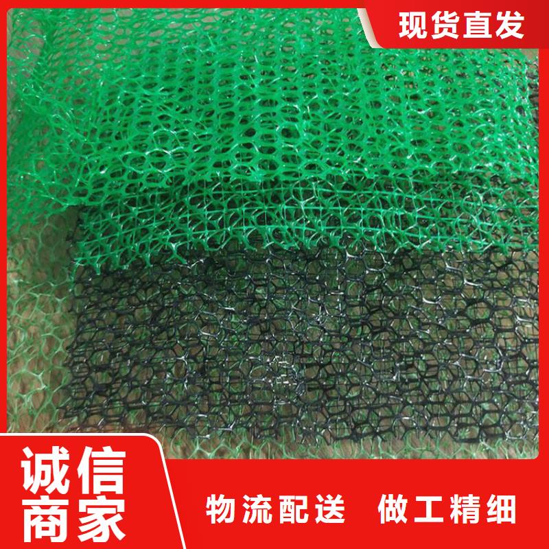三维植被网价格专业生产制造厂