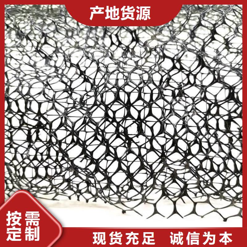 三维植被网价格-生产厂家工厂直营