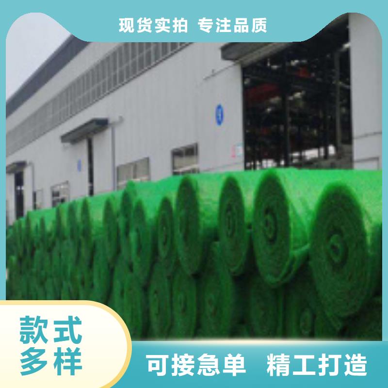 保亭县三维土工网垫厂家定制价本地货源