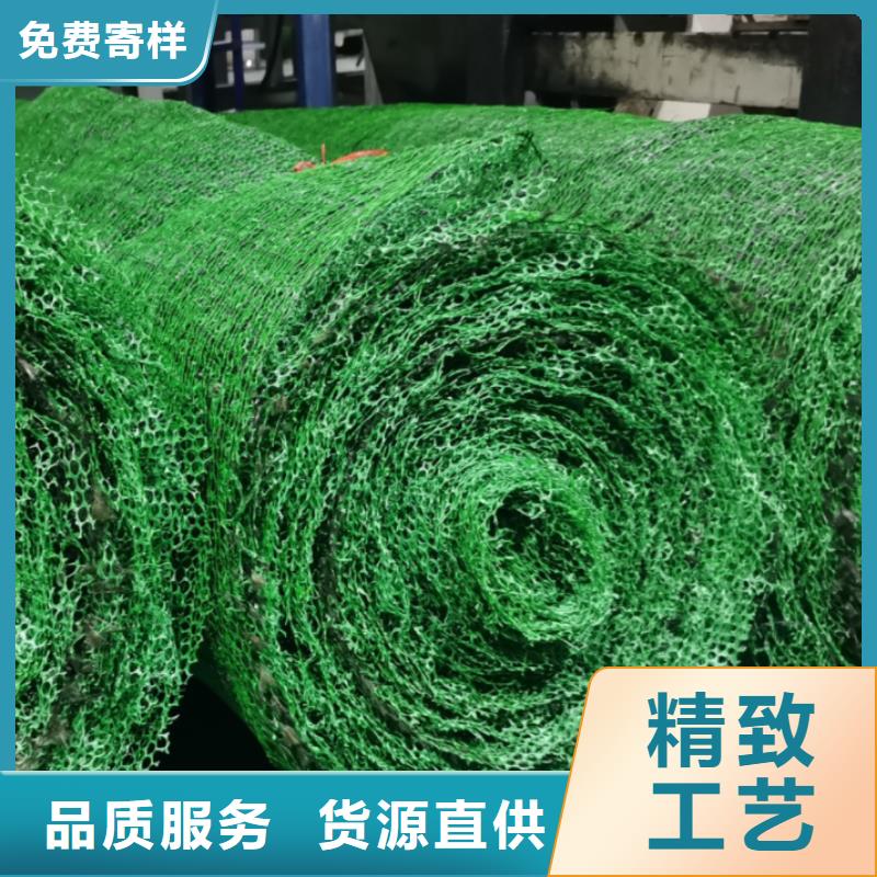三维土工网垫价格优选原材