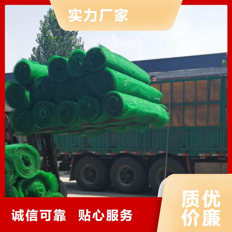 三维土工网垫工厂价价格实惠