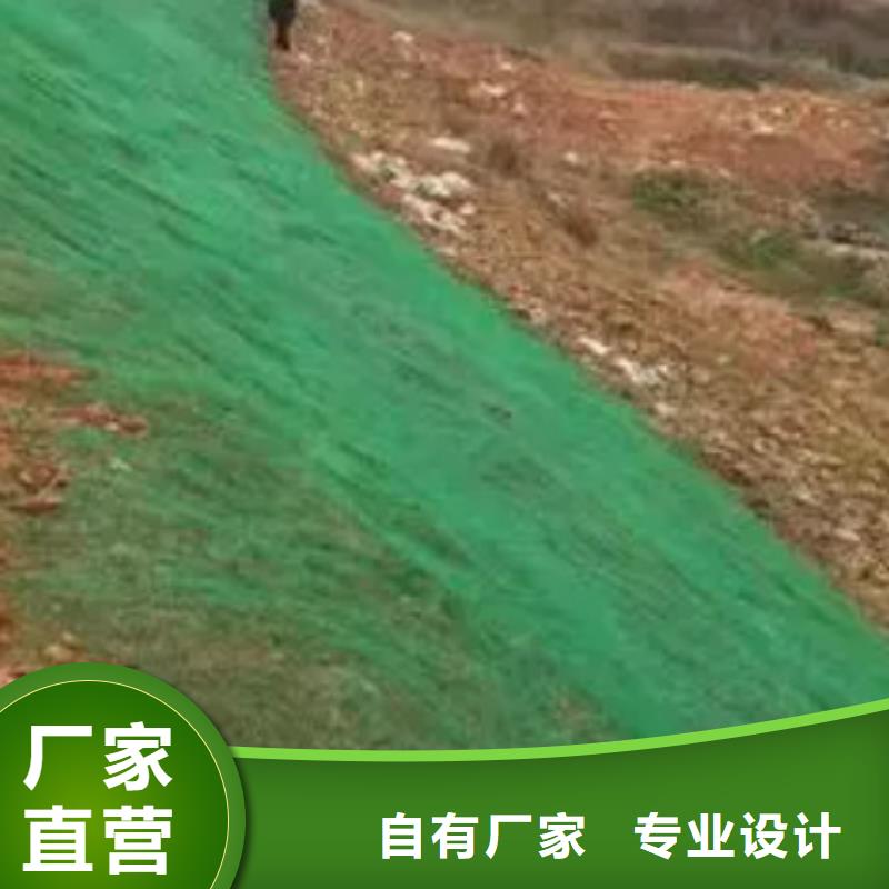 三维土工网垫型号全_全国供应专业完善售后