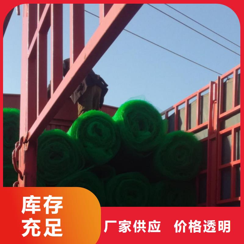 三维土工网垫型号现货快速采购