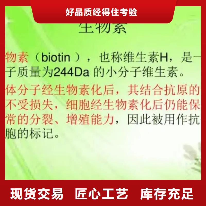 新和D-生物素使用方法本地厂家值得信赖