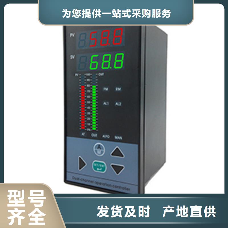 定制智能显示仪WP-C701-02-03-N的公司工厂现货供应