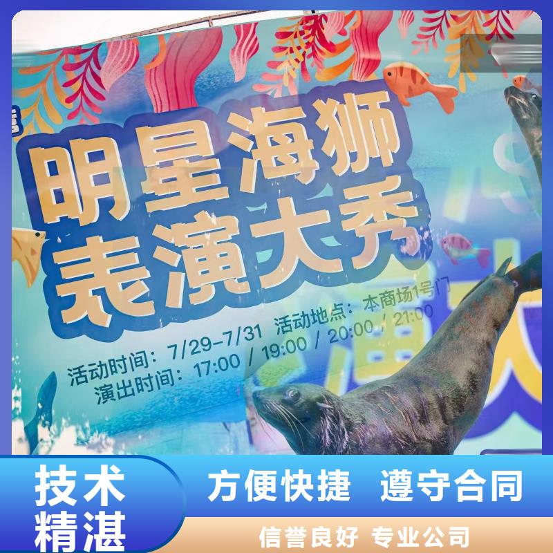 海洋生物展出租当地生产厂家