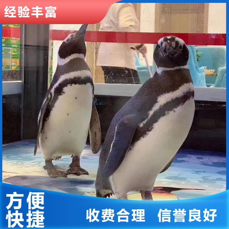 海洋生物展出租活动图片同城经销商