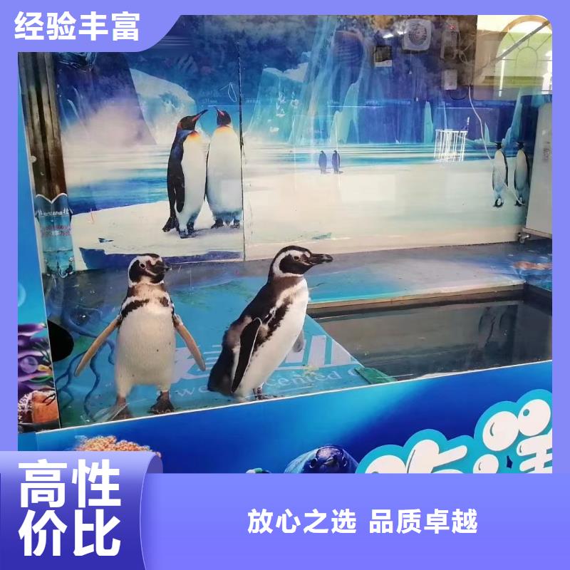 海洋生物展租赁附近专业