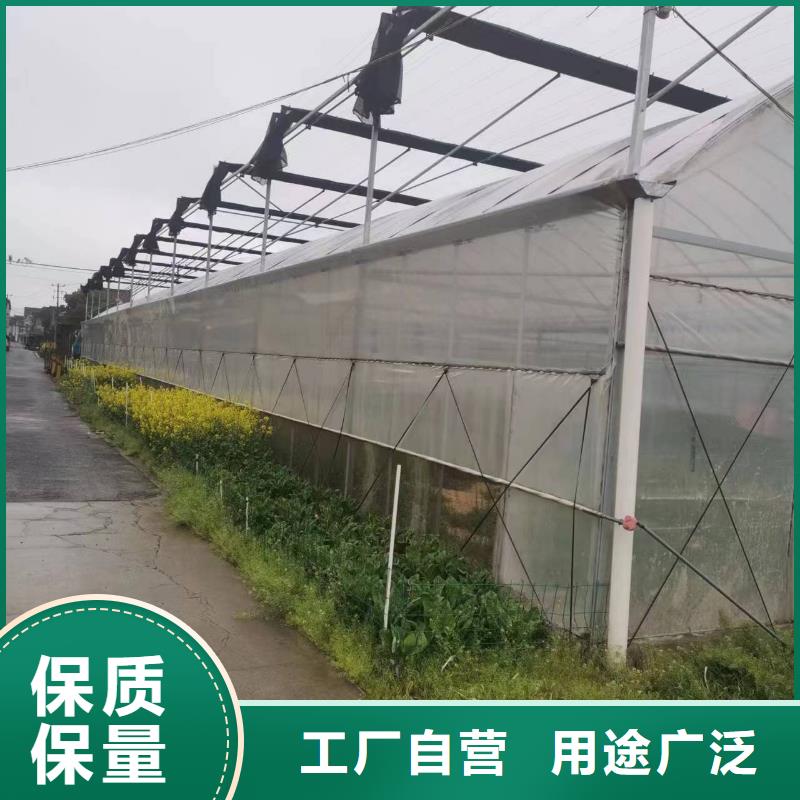 花卉育苗大棚品质保证同城公司