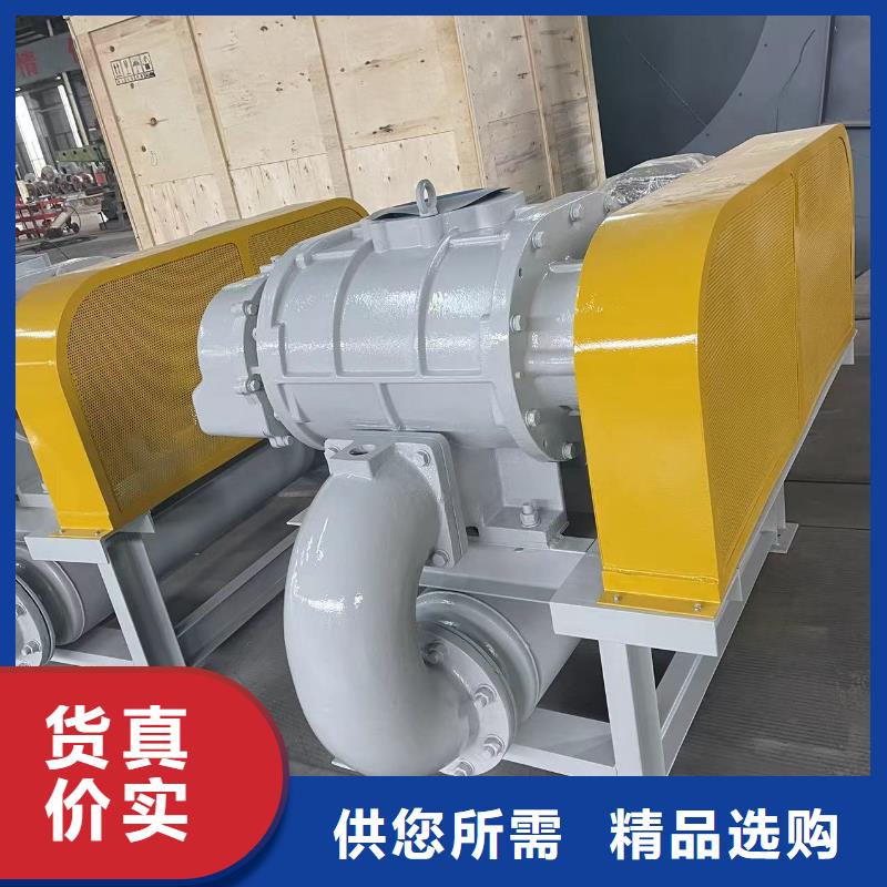 2025L系列罗茨风机LFSR100同城制造商