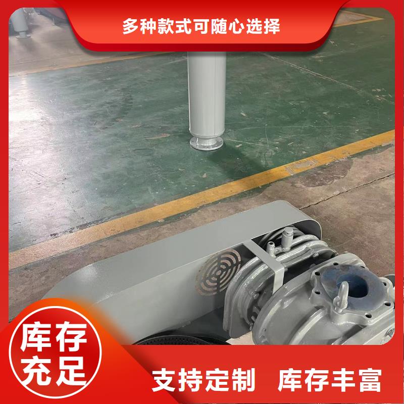 2025L系列罗茨风机LFSR65现货实拍