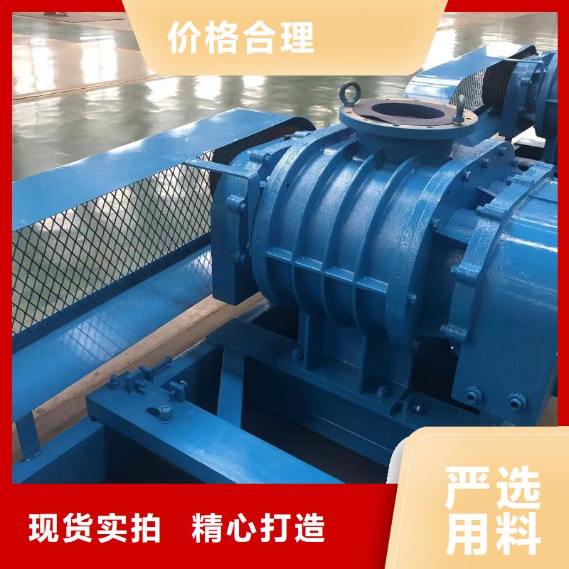 2025洗煤专用罗茨风机LFSR100当地经销商