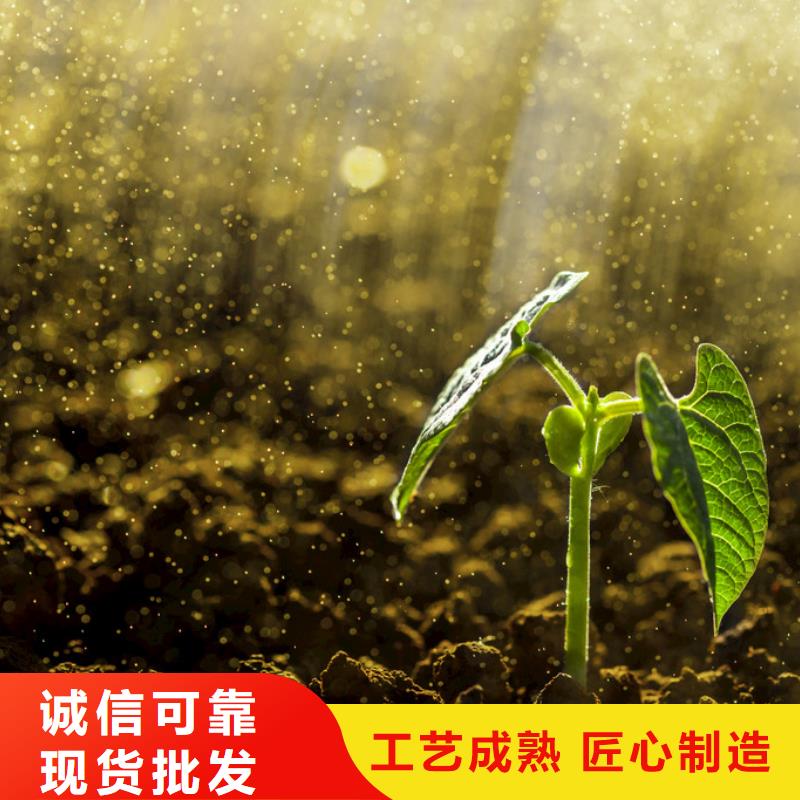 徐闻雷州海口羊粪有机肥靠谱精工打造