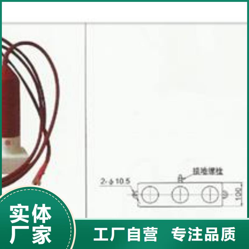 JCQ-3避雷器放电计数器特征诚信为本