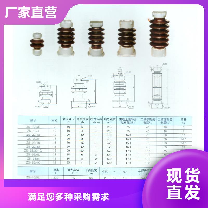 FXBW2-110/120硅胶绝缘子厂家供应