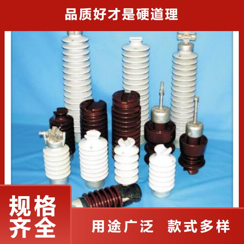 ZJ-10KV/85*145环氧树脂绝缘子当地生产商