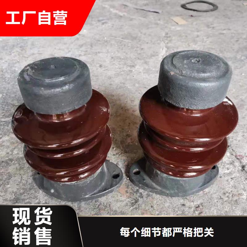 ZJ-35Q120*320环氧树脂绝缘子精选货源