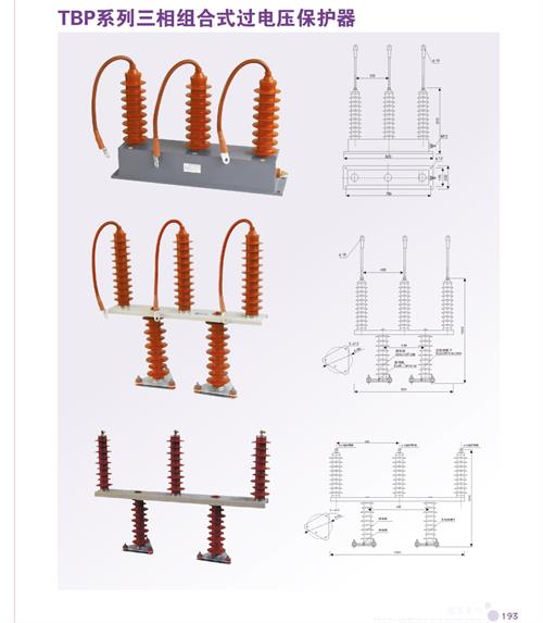 HY5WZ-17/45*2过电压保护器买的放心安兴用的舒心