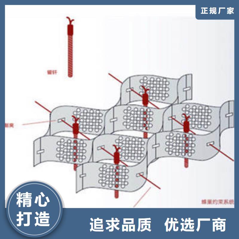 蜂巢土工格室250mm源头底价细节展示