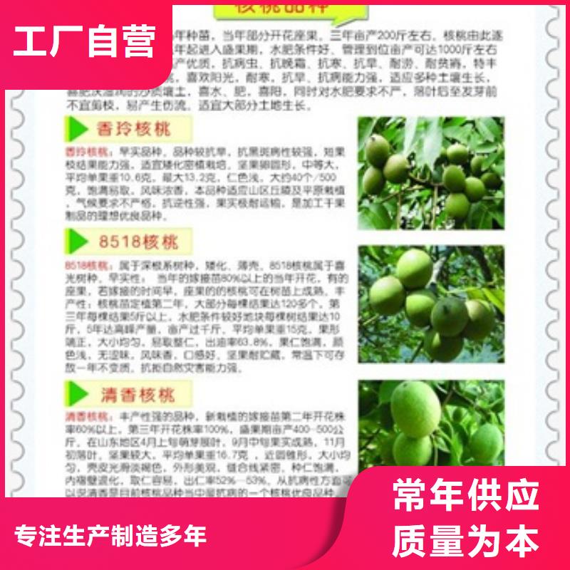 核桃苗梨树苗实力厂家直销同城服务商