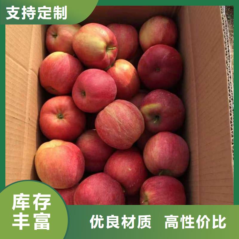 苹果苗梨树苗资质认证源头工厂