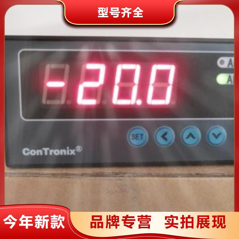 【IRTP300L】-微小流量计品质过硬发货及时