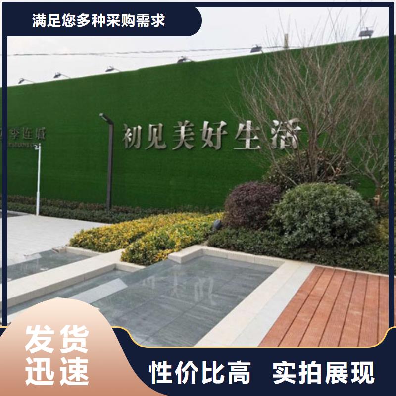 围挡草坪假草皮围挡卓越品质保障欢迎来电询价