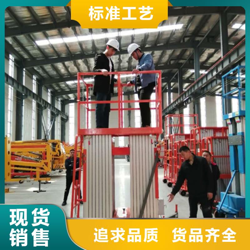 高空作业平台【家用电梯厂哪家好】品质可靠本地制造商
