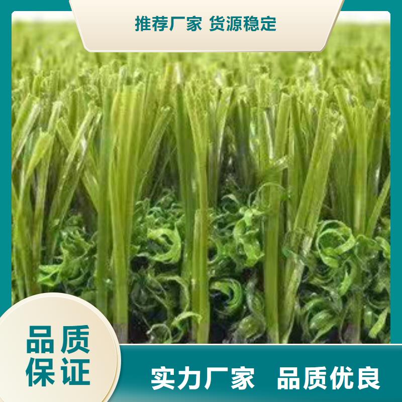 人工草坪人造草皮N年大品牌