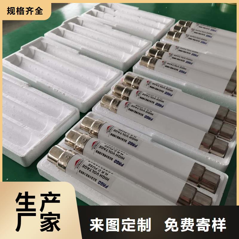 保护电压互感器用高压限流熔断器XRNP1-12/0.5A当地供应商