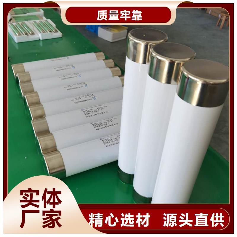 保护电压互感器用高压限流熔断器XRNP1-35/3.15A厂家用品质赢得客户信赖