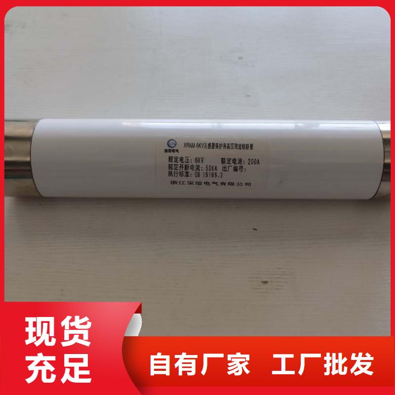 保护电压互感器用高压限流熔断器XRNP1-40.5/2厂家本地公司