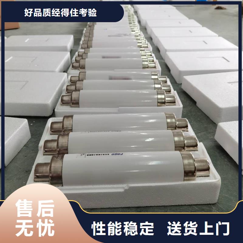 户内高压限流熔断器XRNP1-24KV/1A实拍展现