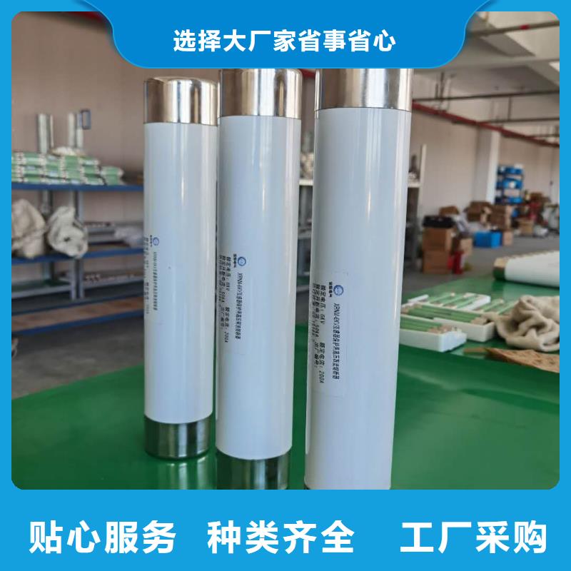 保护电压互感器用高压限流熔断器XRNP1-12/1A标准工艺