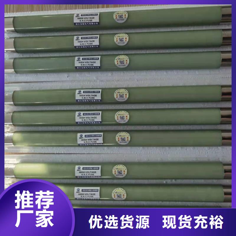 保护电压互感器用高压限流熔断器XRNP1-40.5/2厂家同城经销商