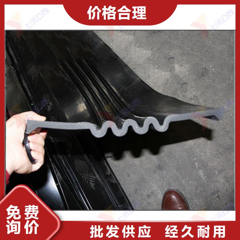 橡胶止水带-橡胶支座省心又省钱当地厂家值得信赖