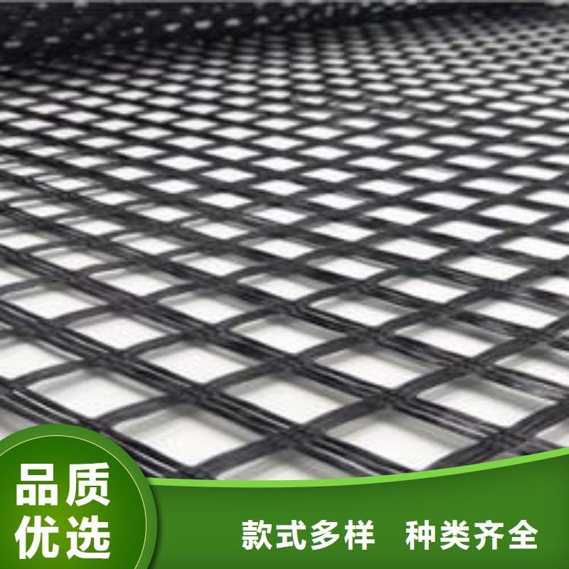 玻纤土工格栅土工席垫多家仓库发货来图定制