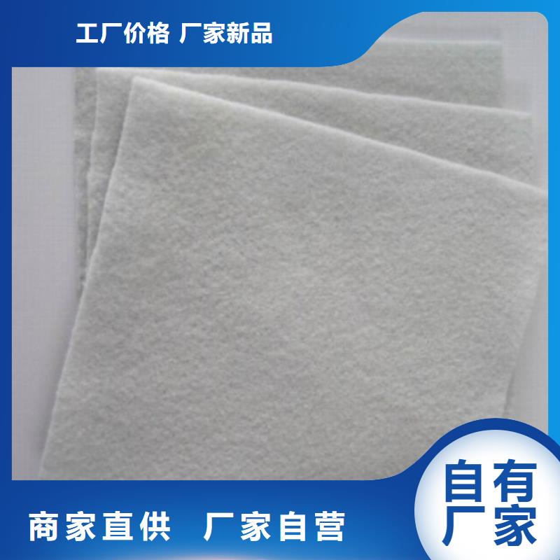 【土工布聚乙烯土工膜好品质选我们】拒绝中间商
